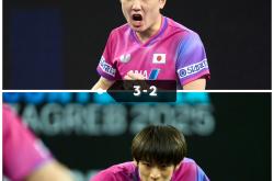 开云体育入口-关于瑞典队翻盘法国队，张本智和状态火热的信息