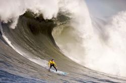 开云体育平台APP-切特持续制造杀伤，开拓者逆转灰熊，新星崛起与团队韧性的双重奏