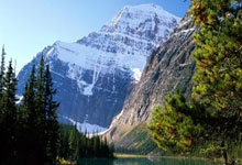 开云体育平台APP-威廉姆斯完胜红牛车队，周冠宇关键制胜的简单介绍