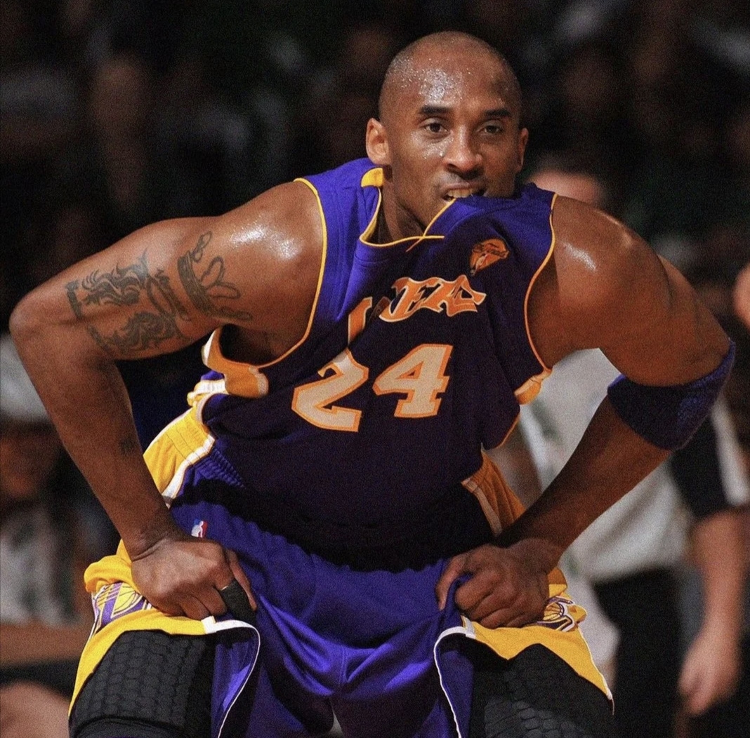 入选名人堂：著名篮球明星成名永恒的简单介绍