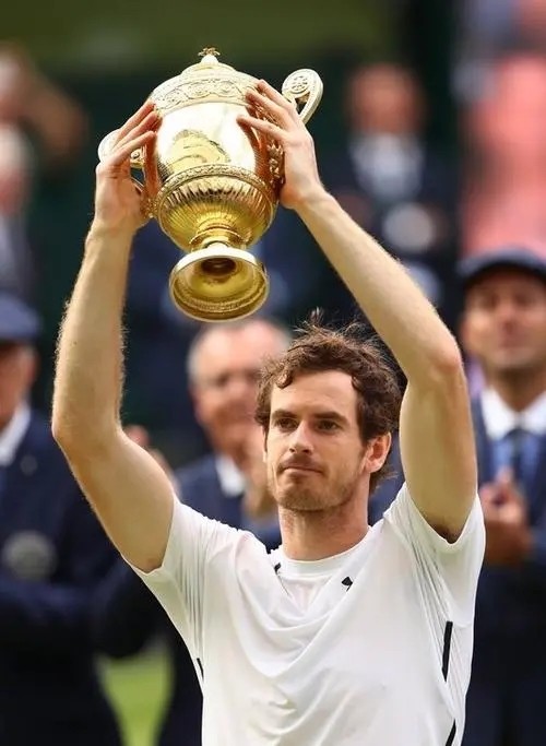 包含蒙特卡洛大师赛鏖战美网，穆雷惊艳四座的词条