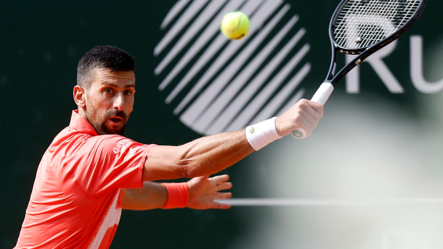 关于意大利网球队血洗日本网球队，德约科维奇惊艳世界的信息